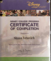 Walt Disney World College Program Graduate